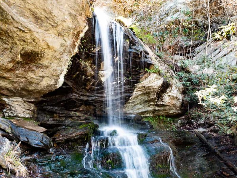 Collecting Rocks, Plants, or Artifacts Is Illegal