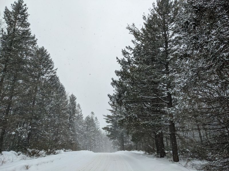 A Winter Atmosphere That Feels Almost Alpine