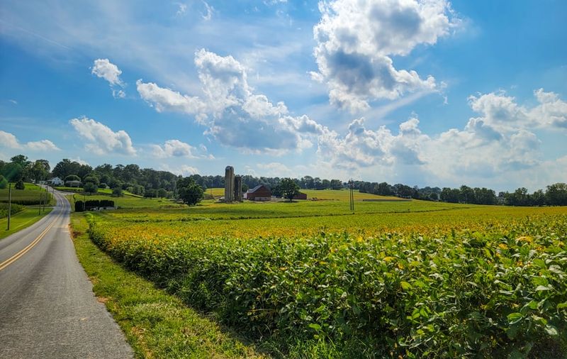 Understanding the Rhythm of the Landscape