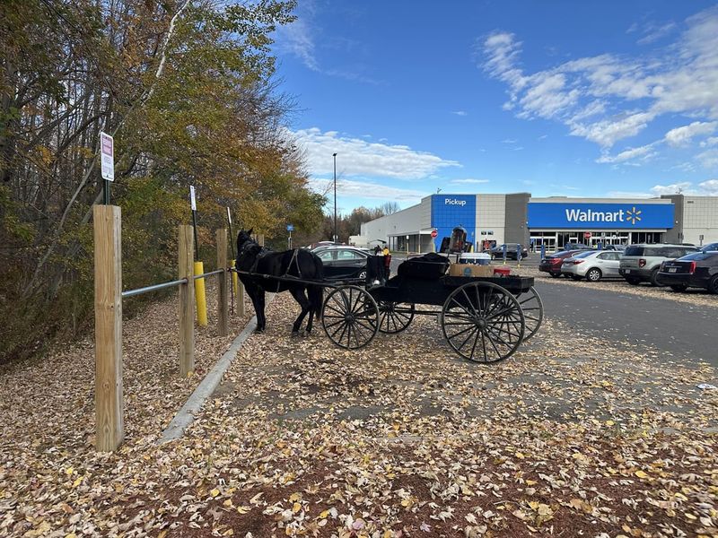 Parking Like You Own the Lane