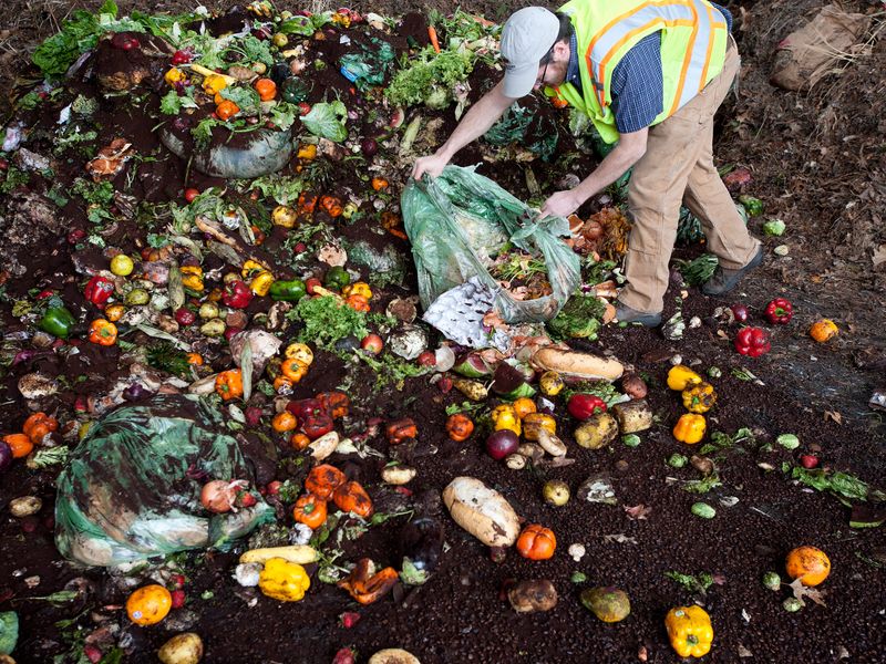 Forgetting that litter and sap waste count too