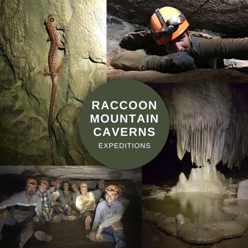 Raccoon Mountain Caverns (Chattanooga)