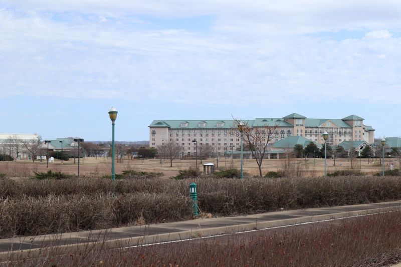 What the Site Reveals About Mississippi’s Casino Era