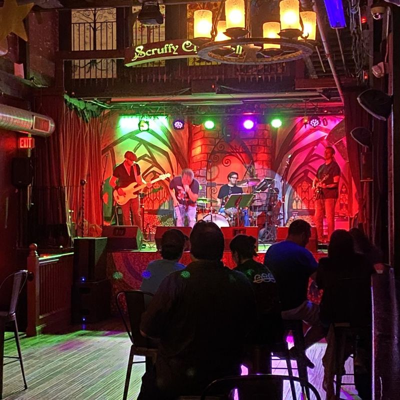 Yelling “Play Rocky Top” At Every Band