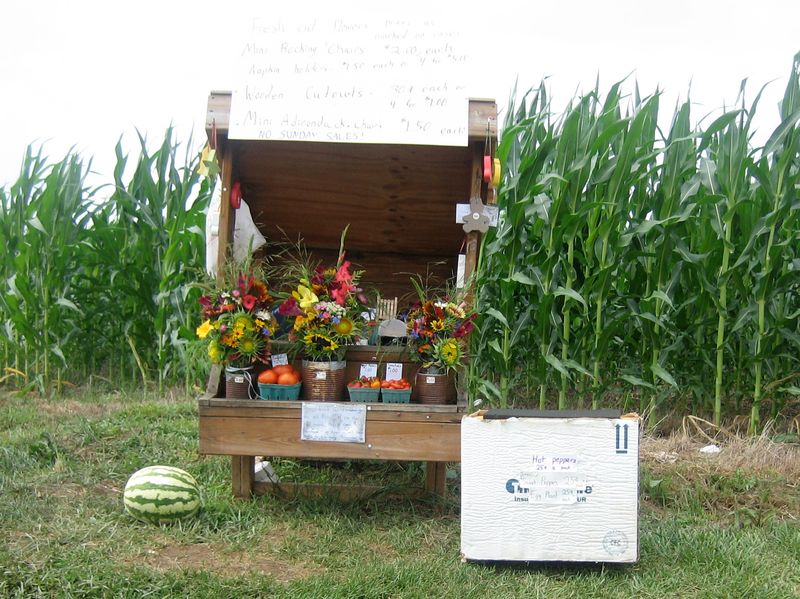 Discovering Roadside Stands With Deep Local Roots