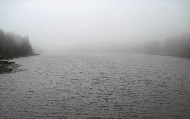 The Mysterious Woman in Vintage Clothing