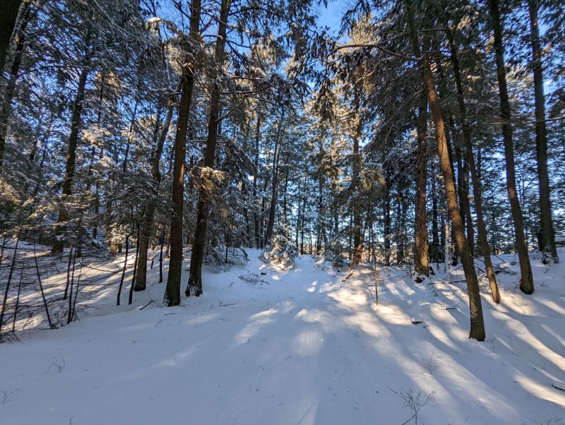 Wildlife Spotting Opportunities