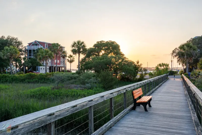 Where to Pause Nearby, No Food in Frame