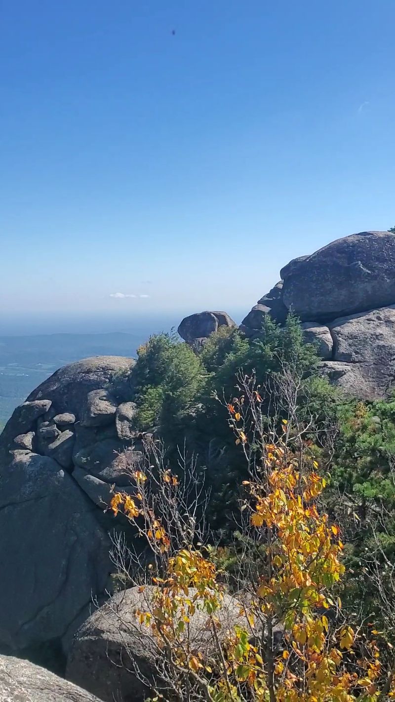 Overcoming Fear Together Creates Trust