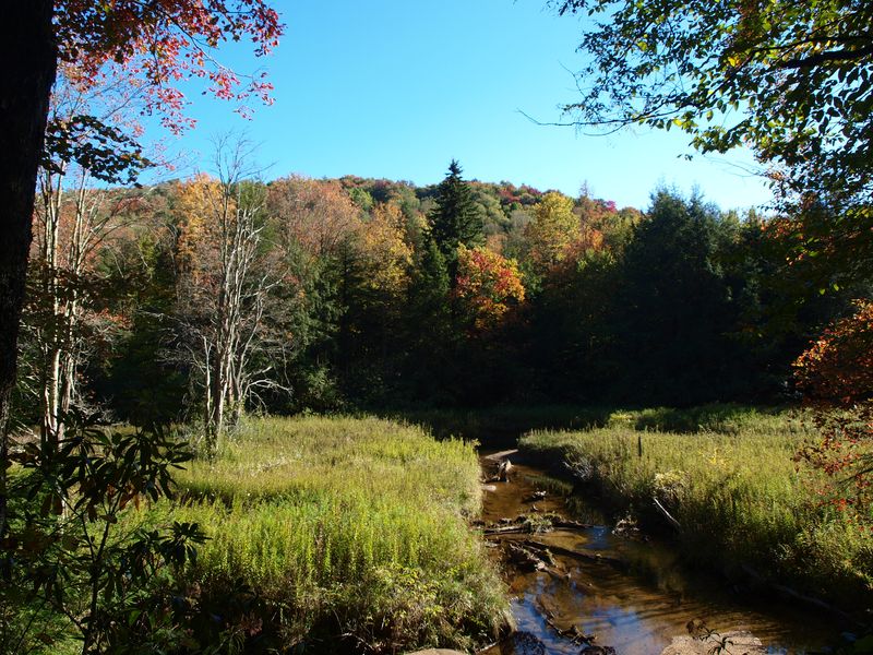 Gateway to Untamed Wilderness