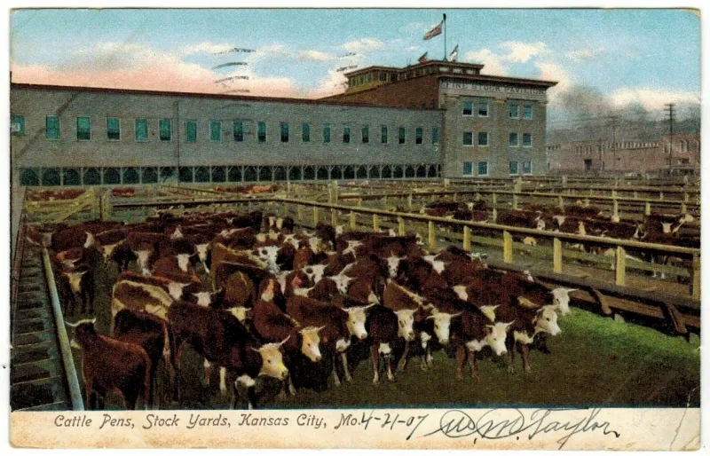 Key Industries Collapsed and Jobs Vanished