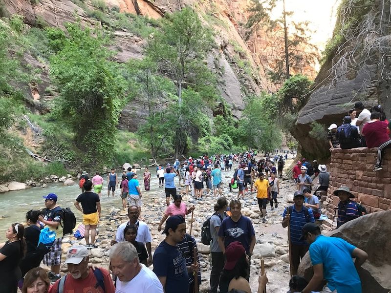 Zion National Park's Main Canyon