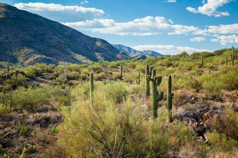 The Unnamed Quartzite Crags (Central Arizona)