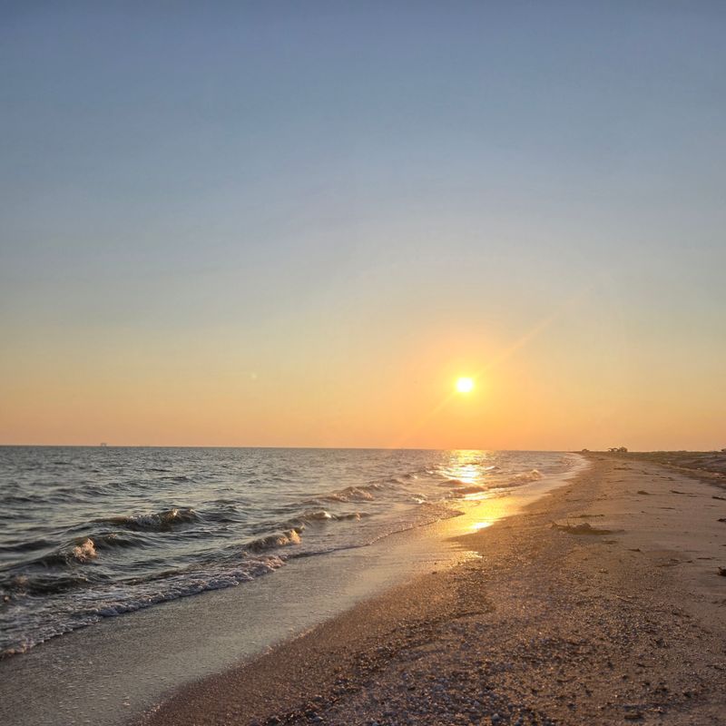 Cameron Rutherford Beach Frontage