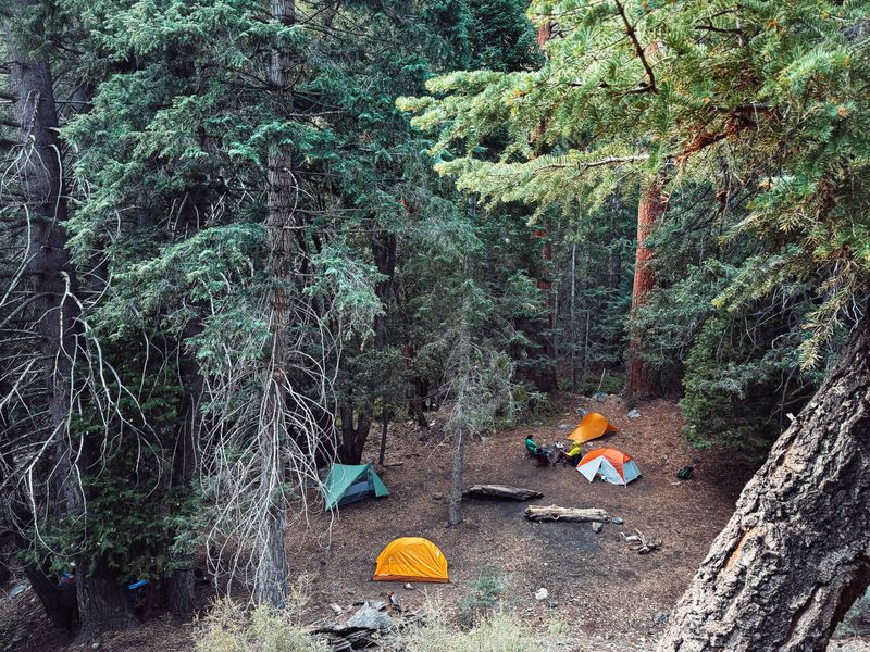 Algert, Near Mountain Falls