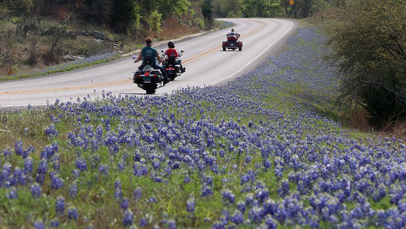 Wildflower Season Doesn't Mean Roadside Free-for-All