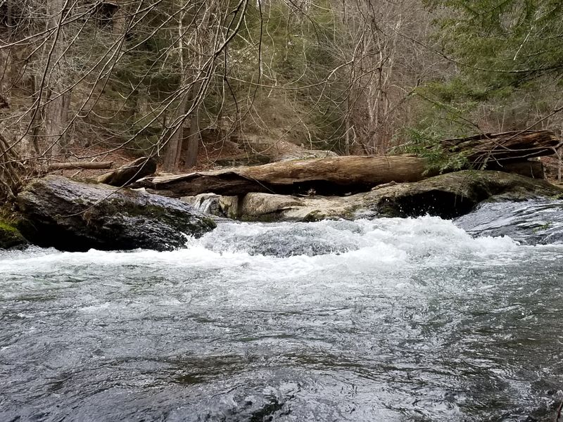 Riverbank Glow: Cartecay Bonfire Spot
