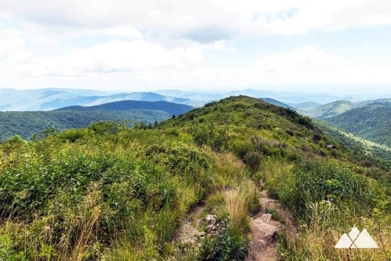 Black Balsam Knob (Milepost 420.2)
