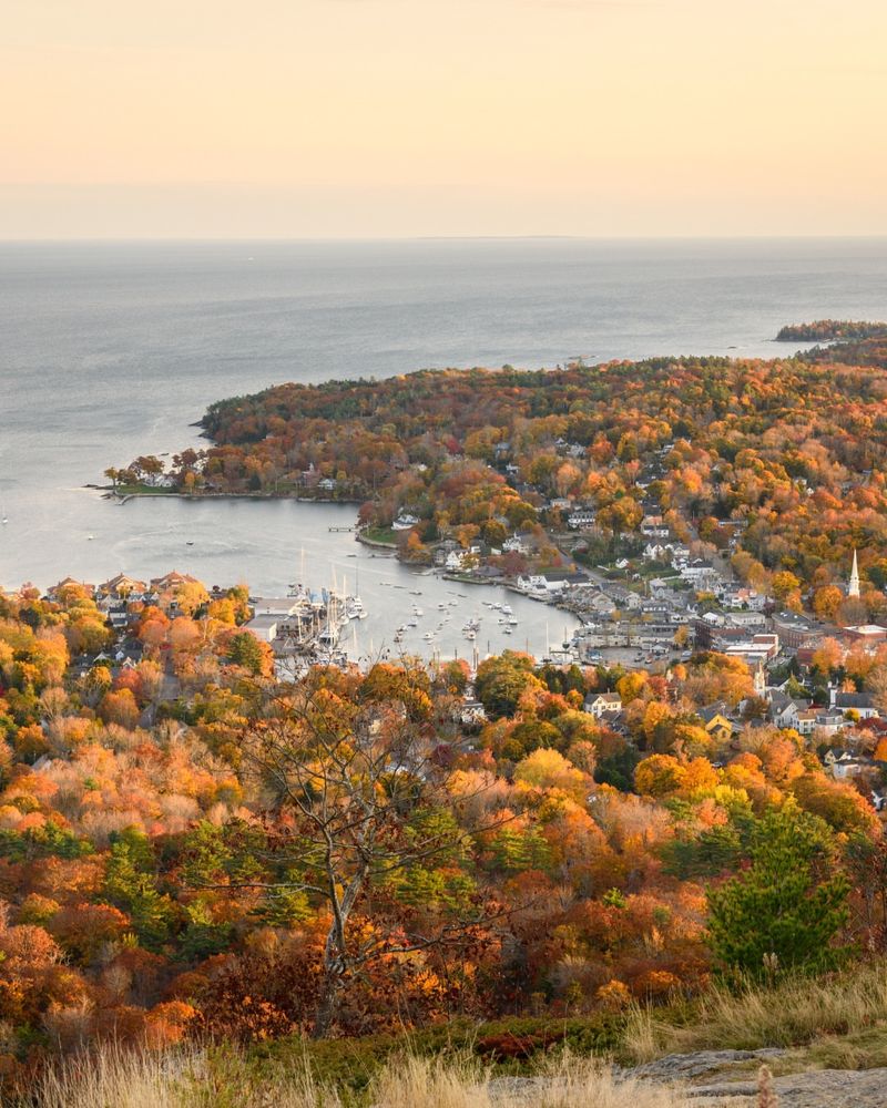 Why Travelers Return Each Thanksgiving