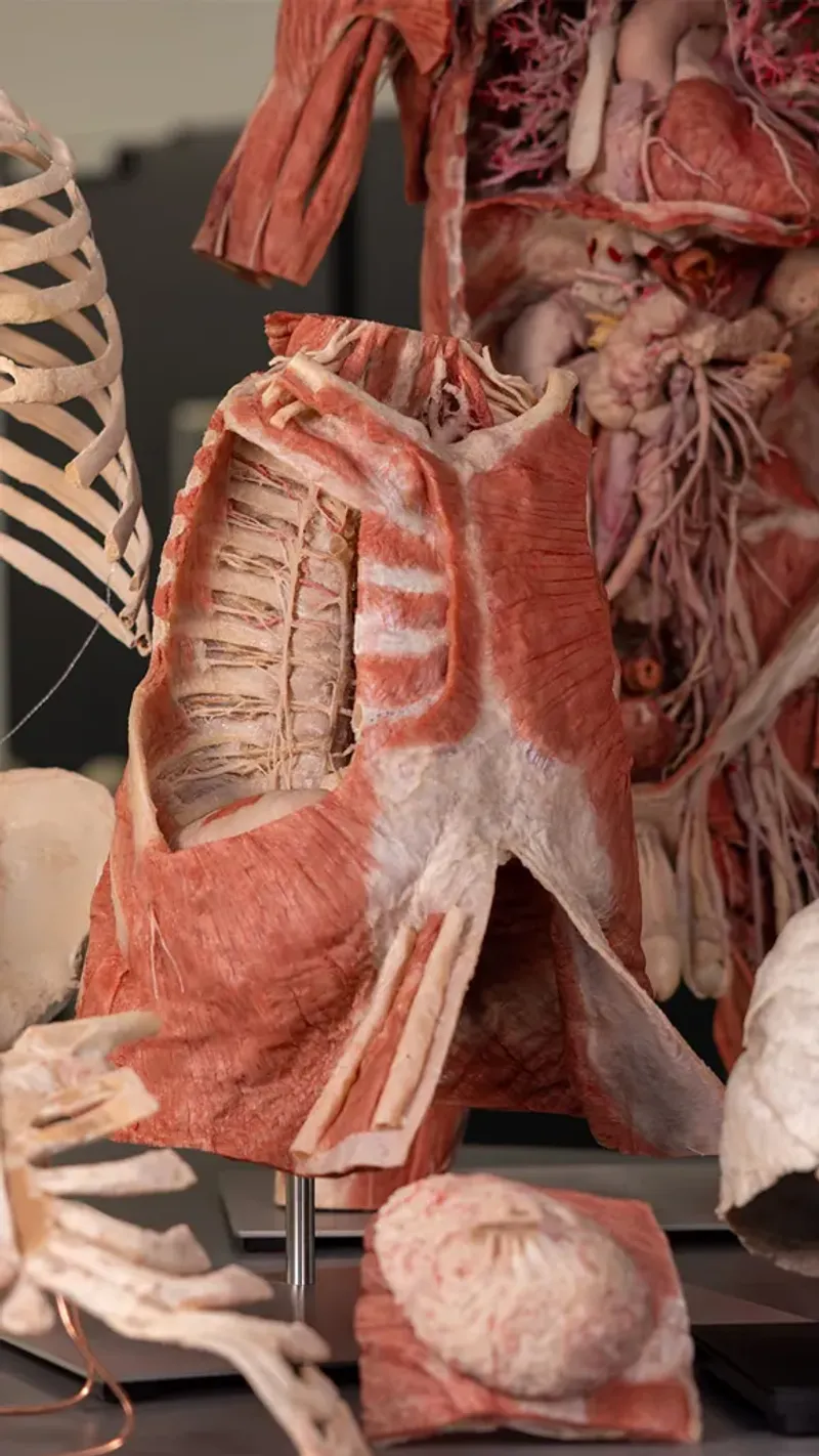 The Science Behind the Shock