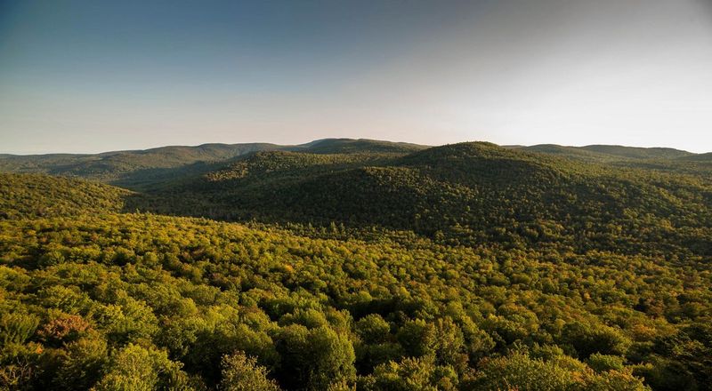 Final Thought on Balance