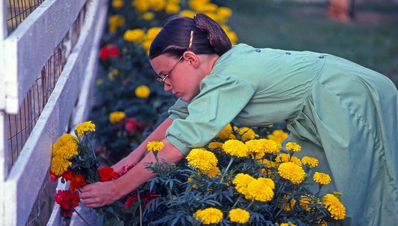 Amish Individuals’ Faces