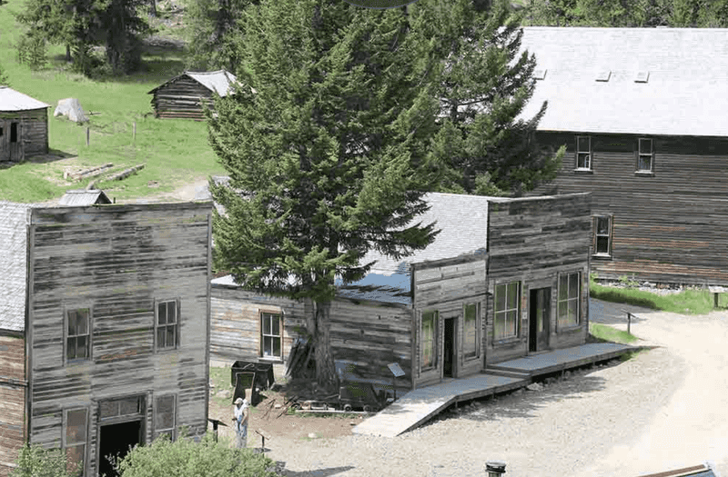 What Locals See Today