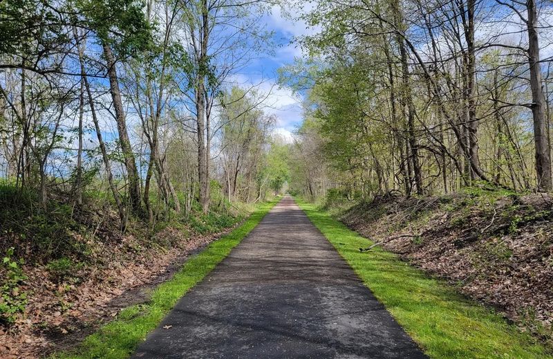 A Lakeshore Walk That Hums With Memory