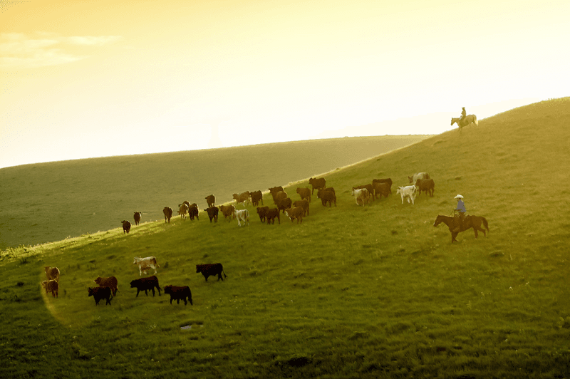 How to Visit Responsibly