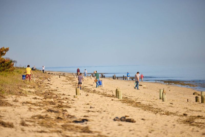 Efforts to Restore Balance