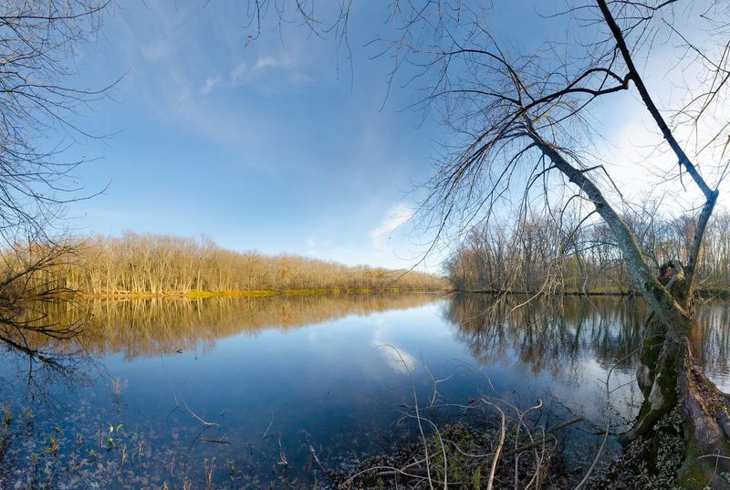 Efforts to Bring Balance Back