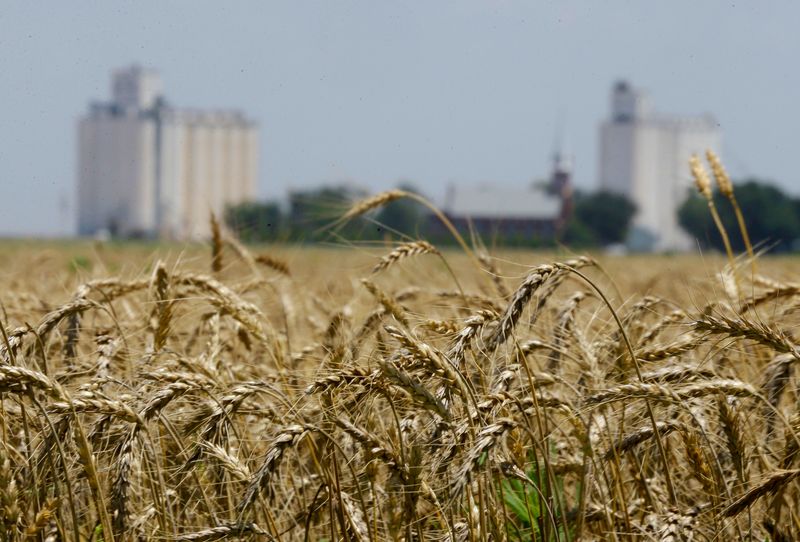 What That Means for Locals