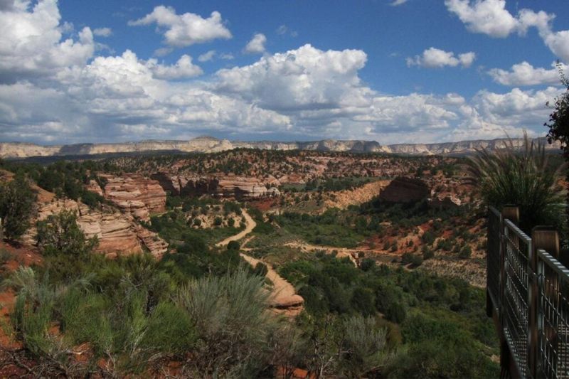 Scorching Desert Heat That Defines the Landscape