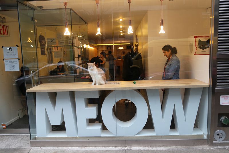 Meow Parlour – Manhattan