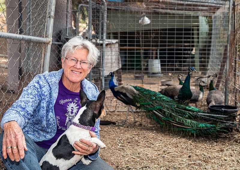 Why the Rule Continues to Fascinate Travelers