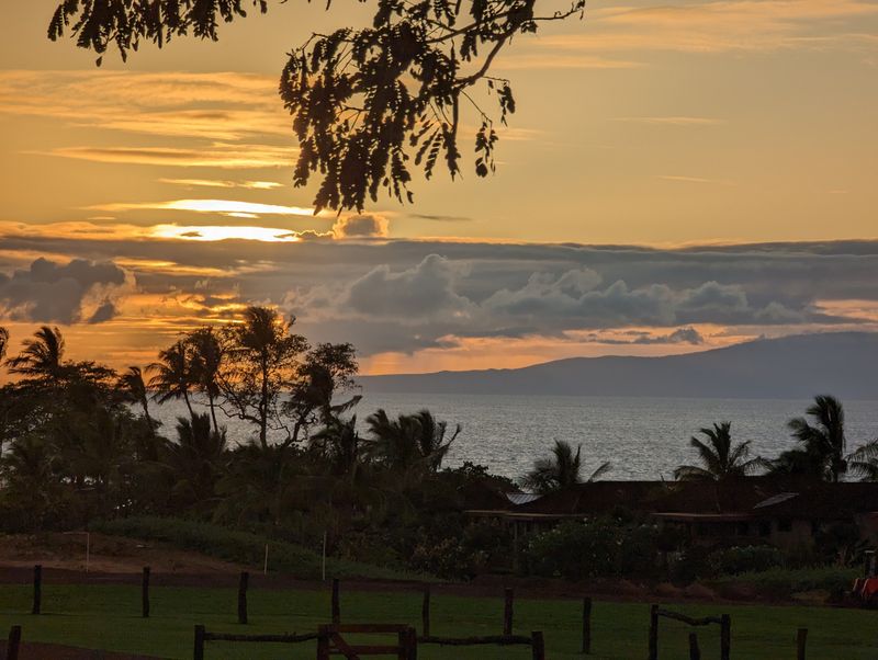 A timeline in gentle waves