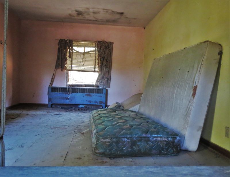 A Snapshot of Florida’s Forgotten Past