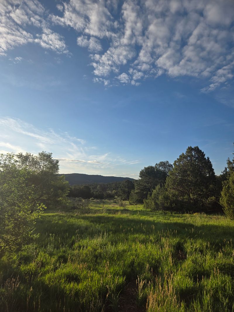 Mountain Foothills and Wilderness Trails