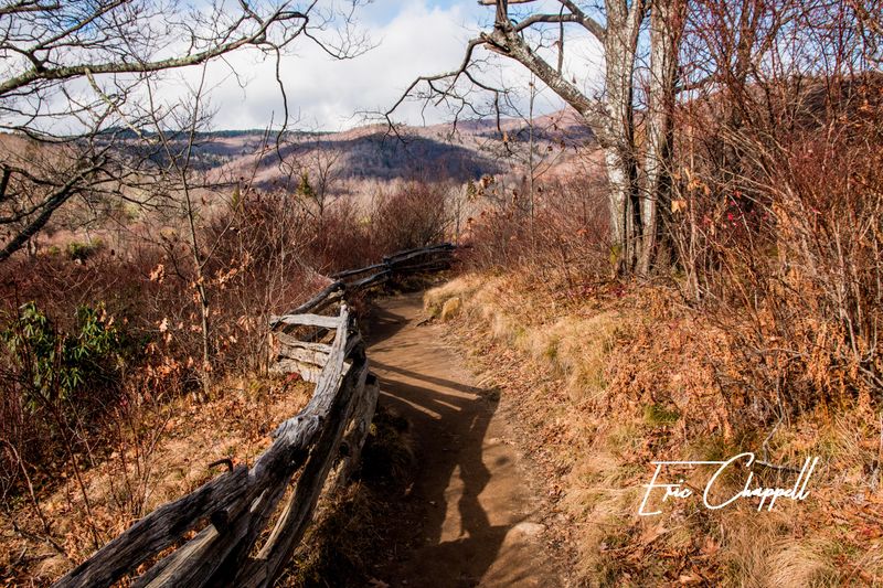 Graveyard Fields Loop (Blue Ridge Parkway)
