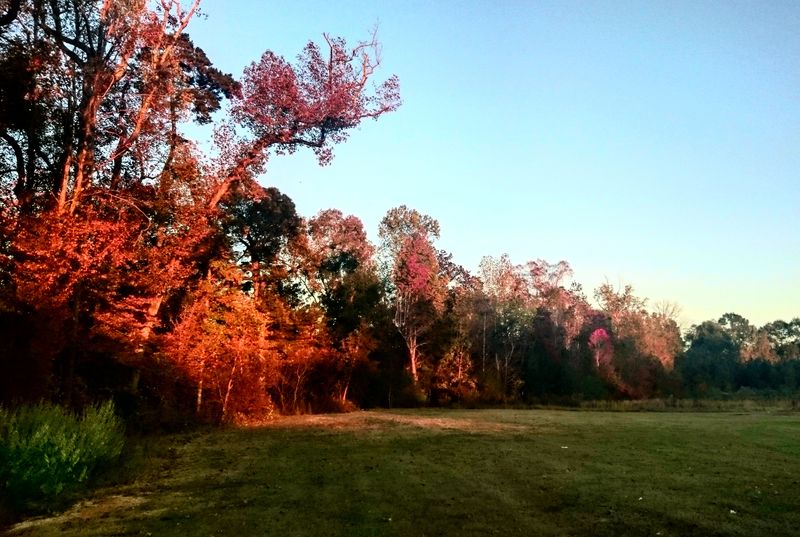 Starting in Evergreen With Forest Roads Leading Into Town