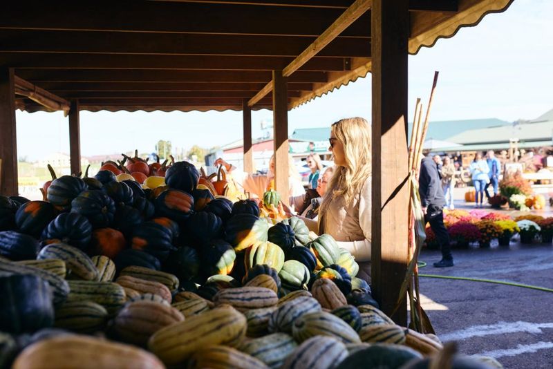 Roadside Markets Offering Regional Harvests