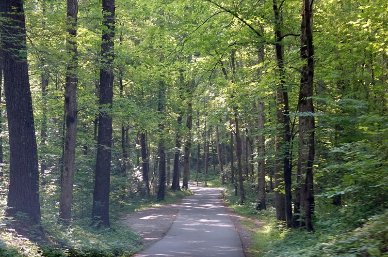 The Loop Road That Shows Travelers a Different Kind of Time
