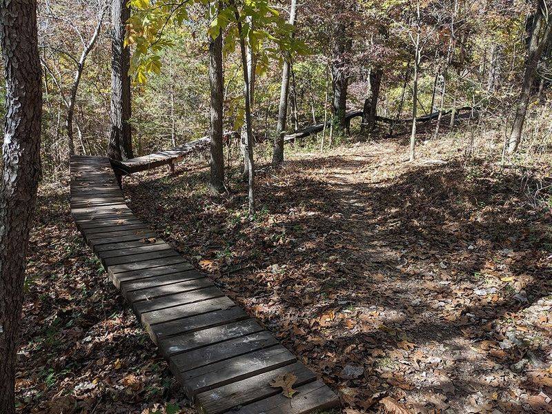 When Curiosity Crosses the Line