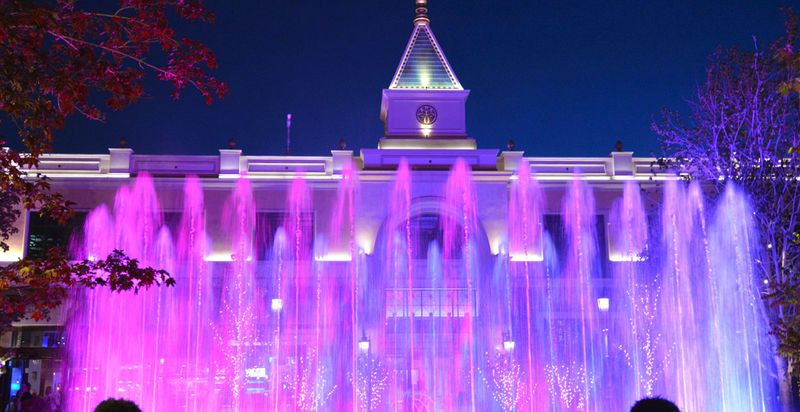 The Fountain Shows and Winter Lights