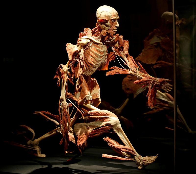 A Lesson in Health and Humanity