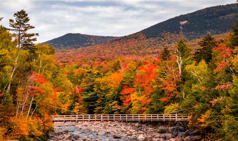 The Boom in Visitor Numbers