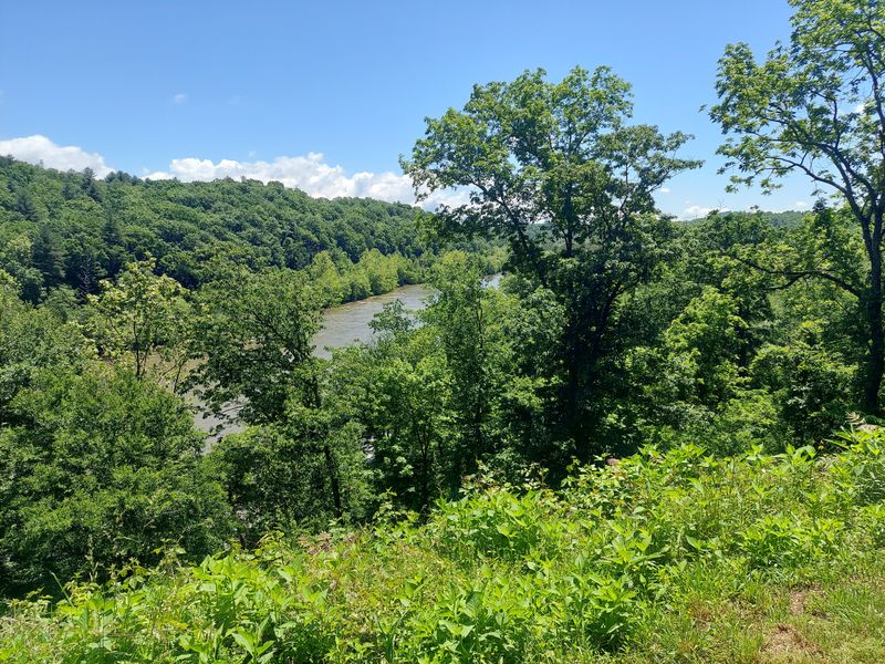 A River Town With More Nature Than Noise