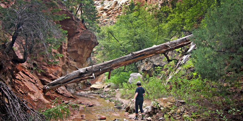 Trails That Lead Into Hidden Canyons