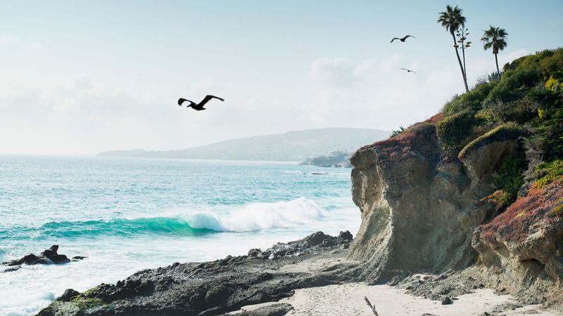 How Locals See the Beaches Differently