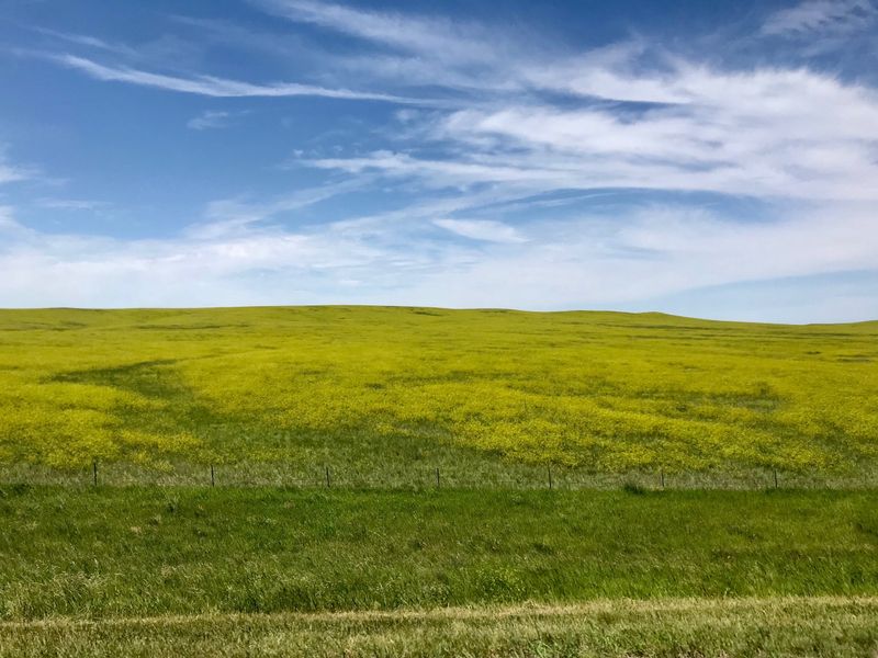 Big Skies That Stay Clear and Wide